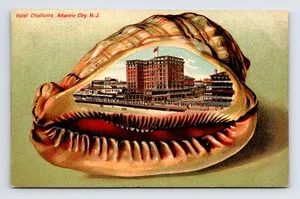 Shell Border View Hotel Chalfonte Atlantic City NJ KVGG 426 Postkarte - Bild 1 von 4