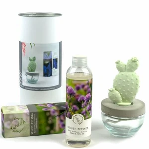 Pretty Valley Home Bunny Ear Cactus Ceramic Diffuser Combo Velvet Petunia 200ml - Picture 1 of 3