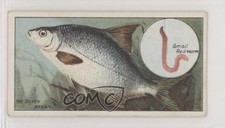 1924 ITC of Canada Fish & Bait Tobacco C11 The Silver Bream #16 z6d