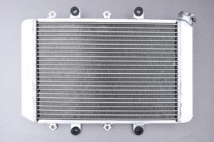 Reinforced Racing Water Radiator Cooling YAMAHA YFM GRIZZLY 700 2007-2024 - Picture 1 of 6