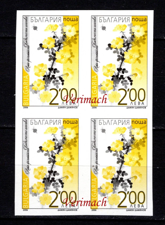 BULGARIA 2006 FLORES ROSAS 2 LV BLOQUE DE 4 IMPERFORADO MNH ERROR PAPEL UV Foto 1 de 1