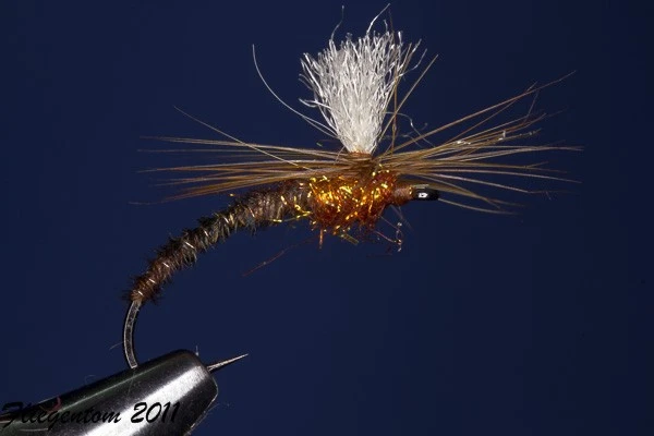 Fliegentom Trockenfliege - 3 Stück Fasanenschwanz UV-Klinkhammer (Klinkhamar) - Bild 1 von 1