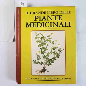 DAS GROSSE BUCH DER HEILPFLANZEN 1984 VALLARDI Kräuter Kräuter Kräuter Aufgüsse - Bild 1 von 4