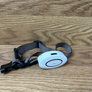 Collar and receiver Patpet T250 - Picture 1 of 5