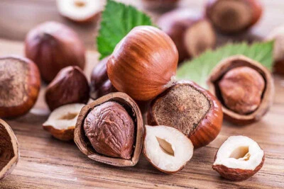 SET OF 12+  AMERICAN HAZELNUT TREE SEEDS/NUTS FLOAT TESTED - Image 1 of 4