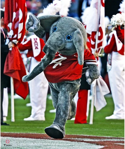 Alabama Crimson Tide Unsigned Big Al Running Photograph Cover
