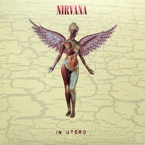 Nirvana - In Utero - 2LP 30th Anniversary Edition w/Bonus Tracks - Brand New - Picture 1 of 8