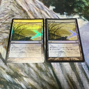 MTG Salt Marsh Japanese Foil 8th Edition Two Sheets Card Game Collectible - Picture 1 of 1