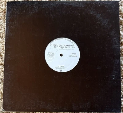 Sting If You Love Somebody Set Them Free PROMO 1985 Vinyl 33 RPM Single Foto 1 de 4