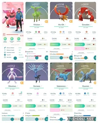 Pokemon Go Lv20| Shiny Magmortar|Mewtwo Groudon Kyurem Hooh Xerneas Virizion - Image 1 of 3