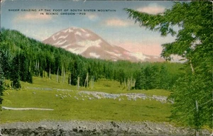 Cartolina: PECORE AL PASCOLO AI PIEDI DELLA MONTAGNA SORELLA SUD IN SCENA - Foto 1 di 2