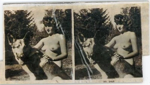 PHOTO photographie vue stéréo curiosa, une femme et un berger allemand Idyll - Picture 1 of 2