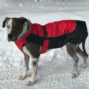 Doggie Design  Alpine All-Weather Dog Coat - Red and Black  XS-5XL