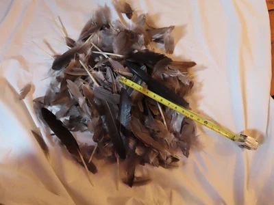 Natural Feathers Bulk - 200+PCS - Wild Canada Goose Natural Feathers Crafts Arts - Image 1 of 4