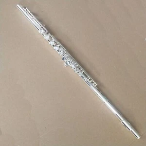 Excellent Flute with Case 17 Open French Silvering Band - Picture 1 of 5