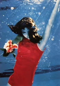 Bjork Graphic Poster Photo Soaking Illustration 3 - Picture 1 of 1