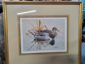 Rod Lawrence "Quiet Morning - Pintails" LE firmato numerato #87/950 - Foto 1 di 6