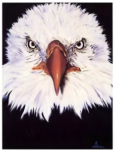 1991 Weißkopfseeadler Poster von Hudson 19x25 Zoll - Bild 1 von 1