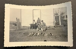 Foto vintage caccia conigli in bianco e nero 3 uomini e cani in fattoria 3x5 - Foto 1 di 2