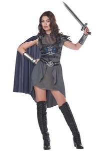 Brand New Lady Knight Renaissance Adult Costume - Picture 1 of 2