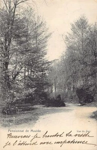 Belgique - MAULDE (Hainaut) Le pensionnat - Vue du parc - Bild 1 von 2