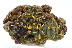 WULFENITE + MIMETITE Ojuela, Mapimi, Durango Mexique 8x5cm 124gr - Photo 1/8