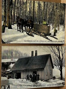 VERMONT Maple Sugar Industry. c.1910 (2 postcards). Camp & Grove scenes. NoR - Picture 1 of 4