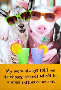 Hallmark Funny Friendship Greeting Card - Picture 1 of 2