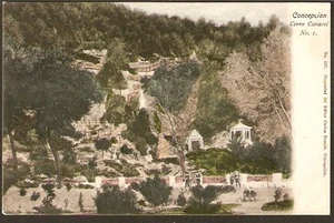 409 CHILE CONCEPCION CERRO CARACOL N° 1 POSTKARTE BRANDT # 517 - Bild 1 von 1