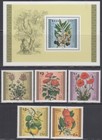 PALESTINE AUTHORITY Sc #54-9 CPL MNH SET of 5 + S/S - FLOWERS
