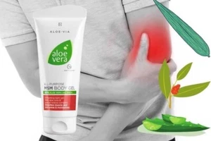 Aloe Vera Multifunktionales MSM Körper Gel - 200 ml kühlt, beruhigt - Bild 1 von 1