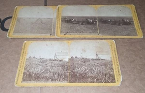 3 Taylor Minnesota Stereoviews 320 acri fattoria di grano Paul Van Vlissinge & fattoria - Foto 1 di 3