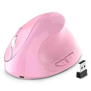 Rechargeable Vertical Mouse Wireless USB 2.4G Right Hand Ergonomic Mice Mouse - Picture 1 of 18