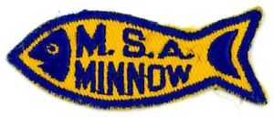 COOL OLD MECKLENBURG SWIM ASSOCIATION BEGINNER SWIMMERS CLOTH MINNOW FISH PATCH - Bild 1 von 1