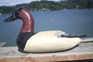 Canvasback Drake decoy by Big Sky Carvers, solid wood, glass eyes, 2014. - Picture 1 of 12
