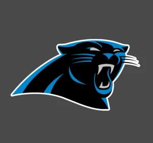 Carolina Panthers Die Cut Sticker Decal - Picture 1 of 1