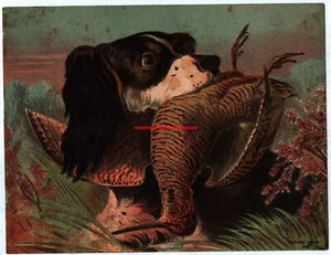 1880 TWIN BROTHERS YEAST ADVERTISING TRADE CARD DOG & PHEASANT HUNTING SCENE AD - Picture 1 of 2