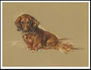 DACHSHUND LONG HAIRED DOG LOVELY VINTAGE STYLE DOG ART PRINT POSTER - Picture 1 of 1