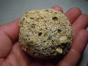 Meteorite Fallback Breccia Briquette From Missouri Astrobleme W/Fossils 117 Grms - Picture 1 of 12