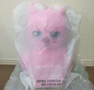 Muñeco de peluche oficial Stray Kids SKZOO DWAEKKI Changbin H 60 cm versión de peluche 5’ reloj - Imagen 1 de 2