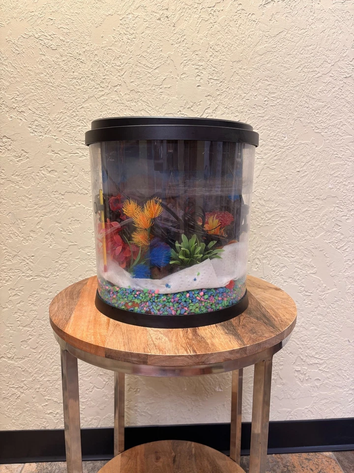 PECERA CON MUCHOS ACCESORIOS Foto 1 de 4