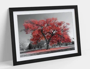 ROTER BAUM MIT SCHWARZ-WEISS HINTERGRUND - GERAHMTER WANDKUNST POSTER PAPIERDRUCK - Bild 1 von 11