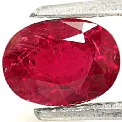 MOZAMBIQUE Ruby 1.37 Cts Natural Untreated Intense Red Oval - Image 1 of 3