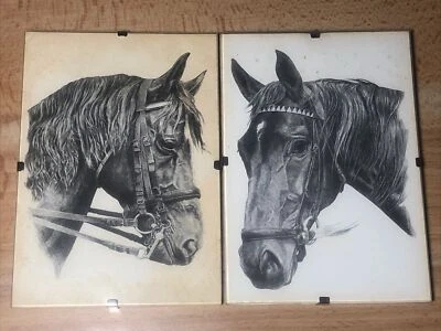 Vintage 2 Horse Head Drawing Photo Wall Art Home Decor Western Equine W. Germany - Image 1 of 4
