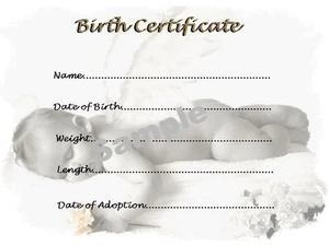 GORGEOUS BIRTH CERTIFICATE/CERTIFICATES 4 REBORN FAKE BABY approx 7"x 5" - Picture 1 of 1