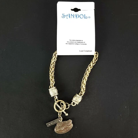 Florida Gators Silver Charm Braclet Sandol Cover