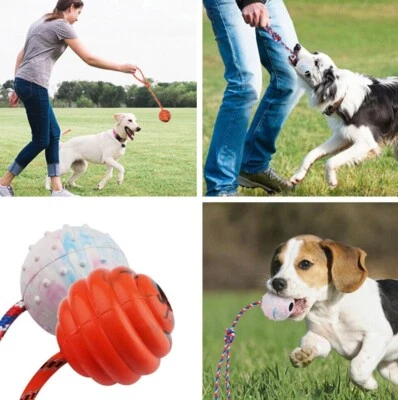 2 Pack Dog Ball Training Ball on Rope Fetch Play Exercise Dogs Toy Puppy Fun! - Image 1 of 3
