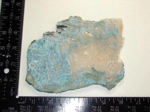 Gorgeous Green Moss Agate Limb Cast Petrified Wood Slab - 188g - Old Stock - Picture 1 of 1