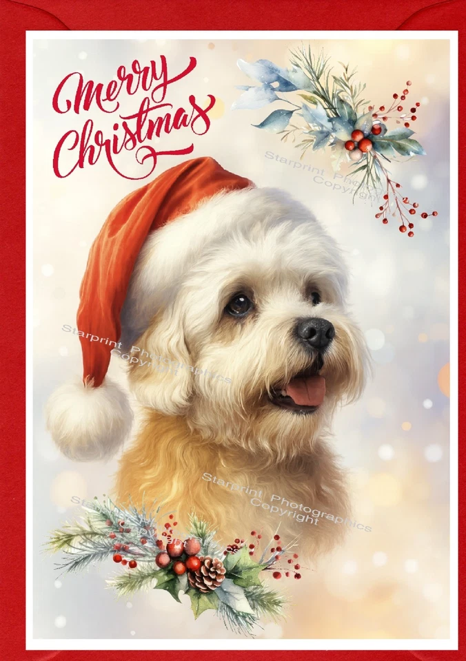 STARPRINT Dandie Dinmont Terrier Dog Christmas Card (4"x 6") (Blank inside)
