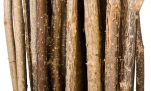 1 kg Knabberholz Äste Knabberzweige frisch unbehandelt Haselnuss für Kaninchen - Bild 1 von 4